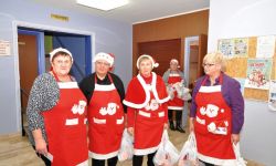 Arbre De Nol Spf   030